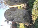 image of grave number 632150